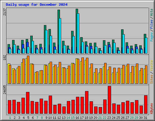 Daily usage for December 2024