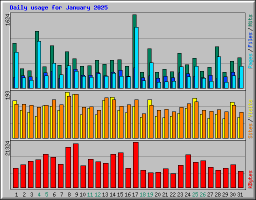 Daily usage for January 2025