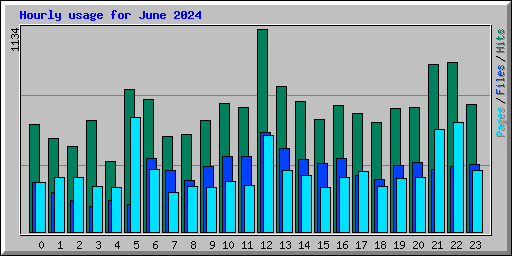 Hourly usage for June 2024
