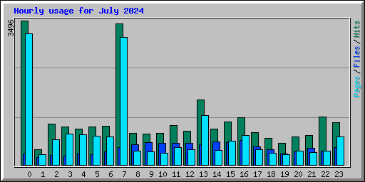 Hourly usage for July 2024