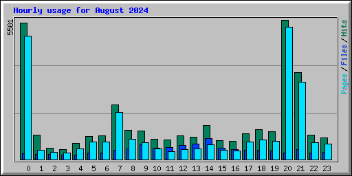 Hourly usage for August 2024