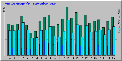 Hourly usage for September 2024