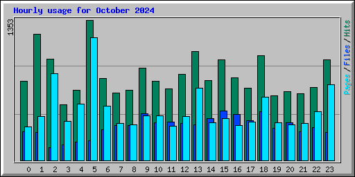 Hourly usage for October 2024