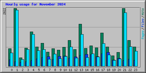 Hourly usage for November 2024