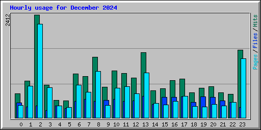 Hourly usage for December 2024