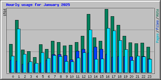 Hourly usage for January 2025