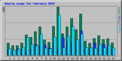 Hourly usage for February 2025