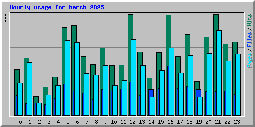 Hourly usage for March 2025