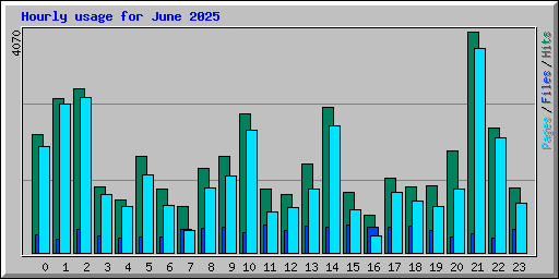 Hourly usage for June 2025