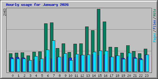 Hourly usage for January 2026